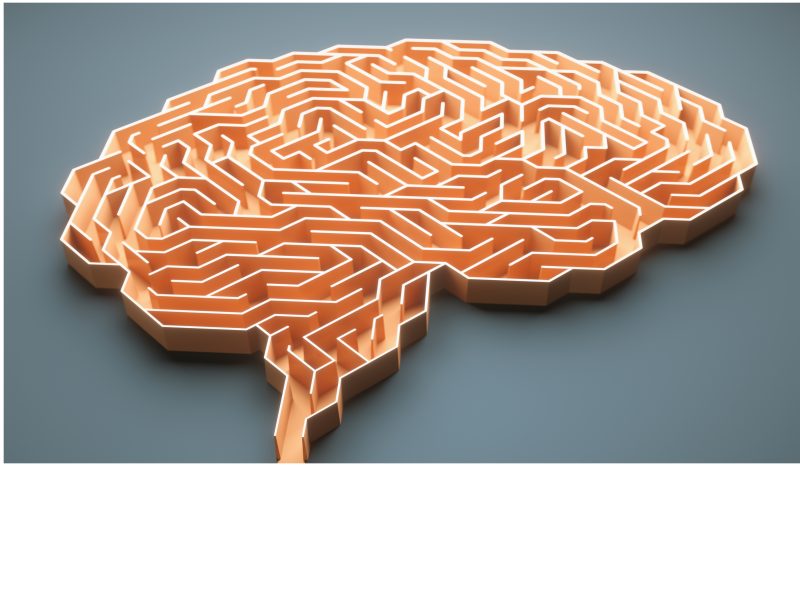 Brain maze